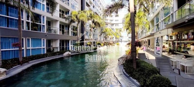 Studio Condo for Sale in Central Pattaya - Condominium - Pattaya City - 