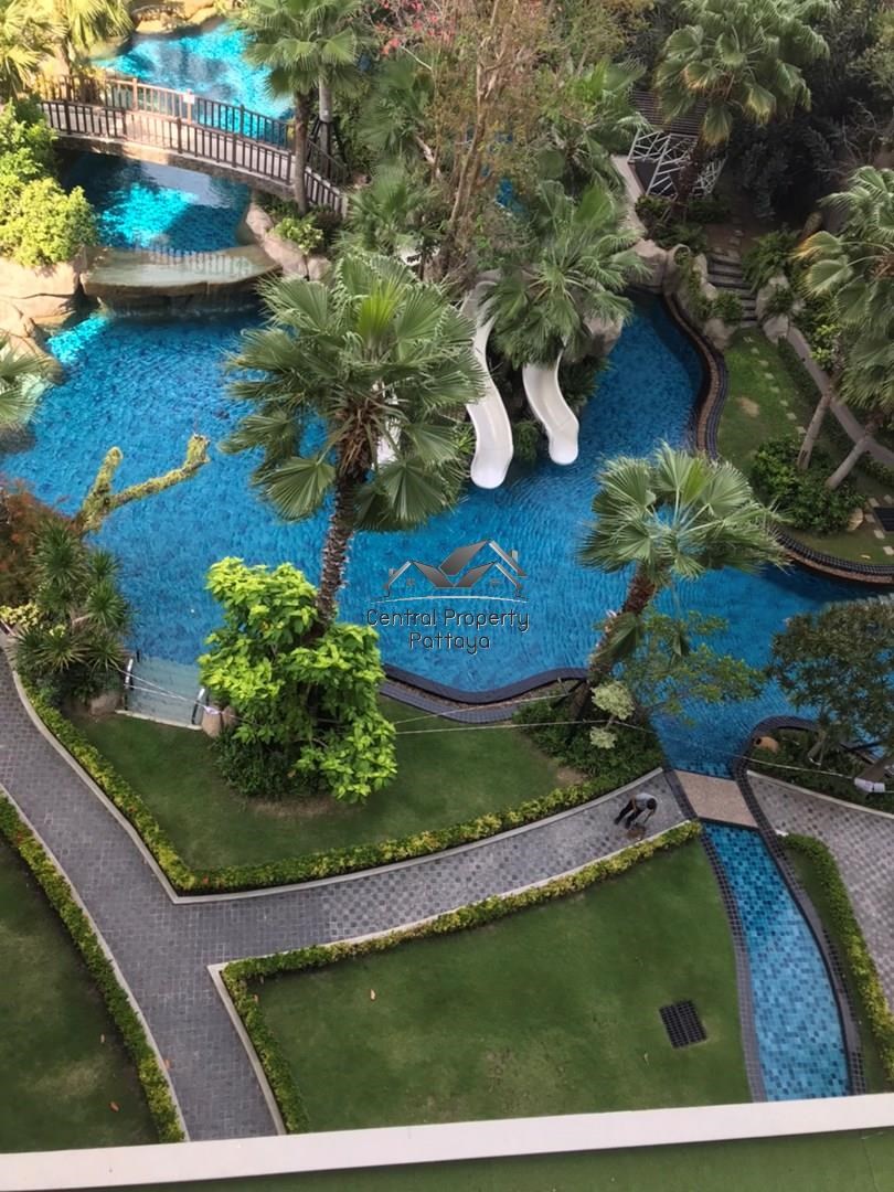 Luxury 1 Bedroom Condo for Rent in Wongamat คอนโดสุดหรู 1 ห้องนอน สำหรับเช่า ย่านวงศ์อมาตย์ - Condominium -  - 