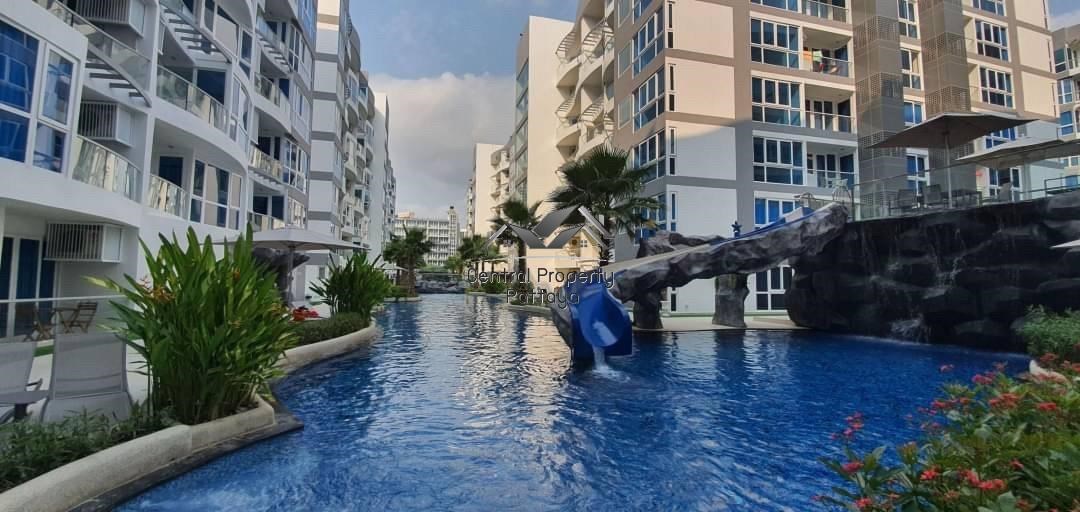 One Bedroom One Bathroom Condo For Rent in Pattaya City Center คอนโดใหม่ตกแต่งสวยงามพร้อมเฟอร์นิเจอร์ สำหรับเช่า1 ห้องนอน 1 ห้องน้ำ - Condominium -  - 