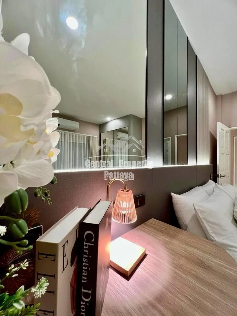 Warm & Elegant Corner Home with Imported Olive Tree Garden 4