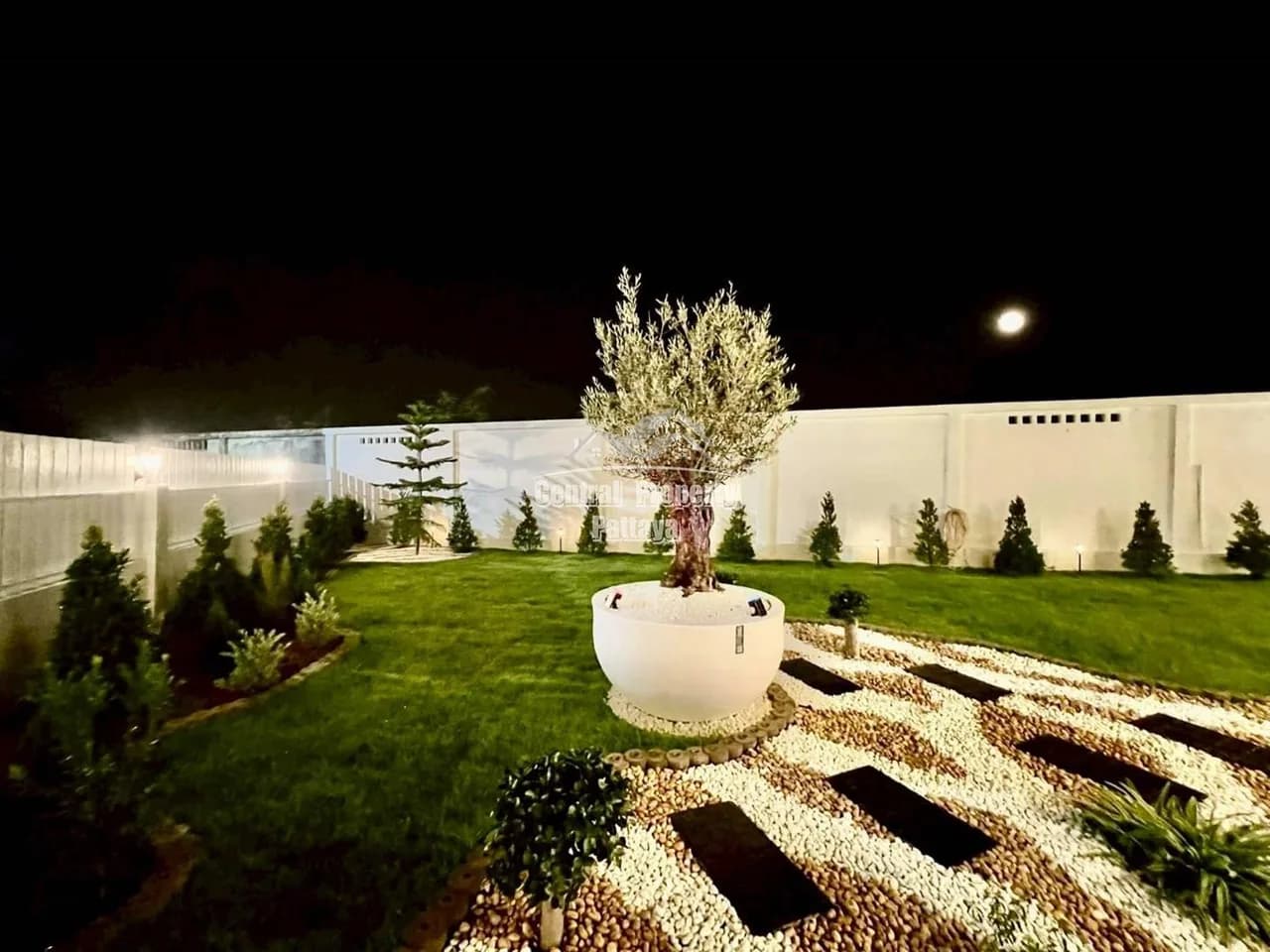 Warm & Elegant Corner Home with Imported Olive Tree Garden — Photo 10